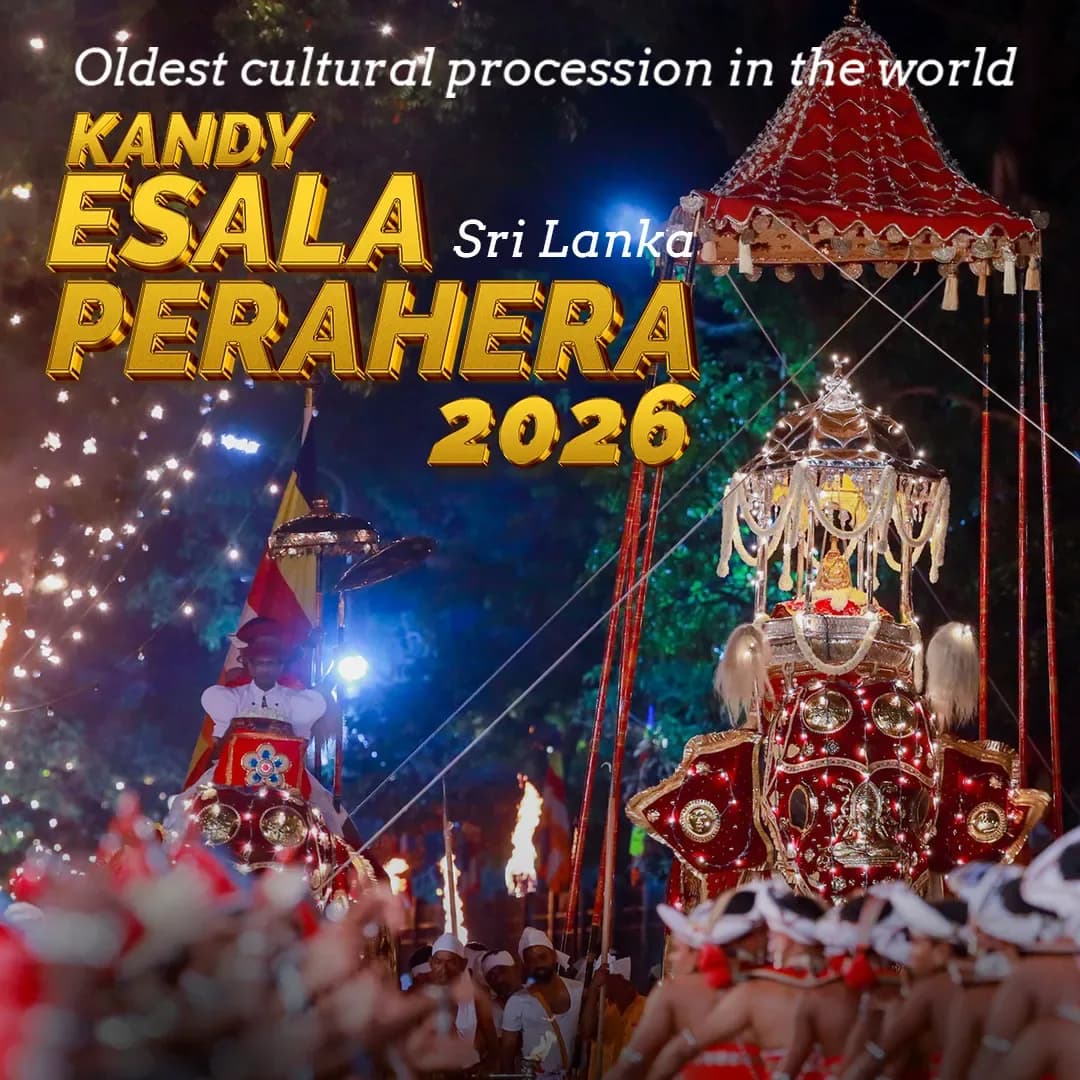 Kandy Esala Perahera 2026 — procession viewing seats, D.S. Senanayake Veediya, Kandy